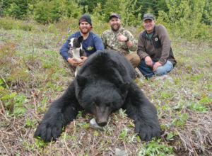 black bear hunting.jpg
